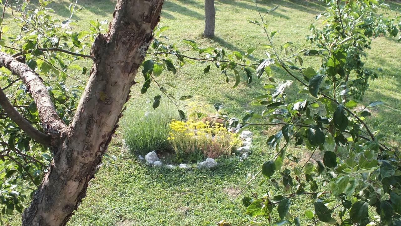 Guest House Ema Grabovac  Bagian luar foto